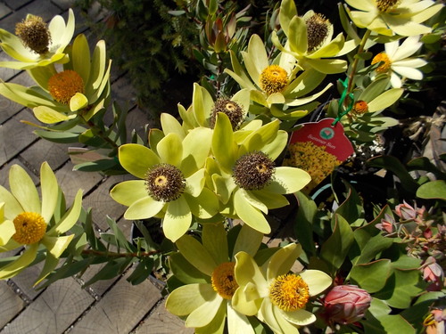 b0277505_2243539.jpg