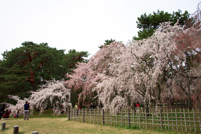 a0263109_14324047.jpg