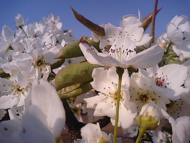 f0231709_20522251.jpg