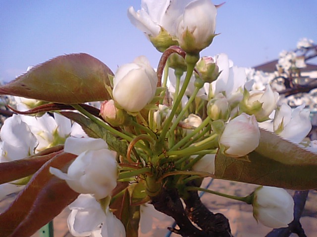 f0231709_2055039.jpg