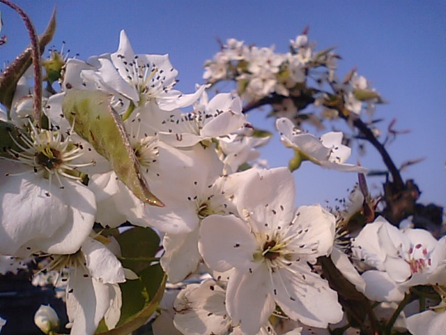 f0231709_20573580.jpg