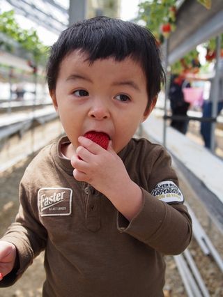 a0233910_2383425.jpg