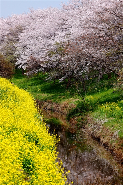 c0146510_1911710.jpg