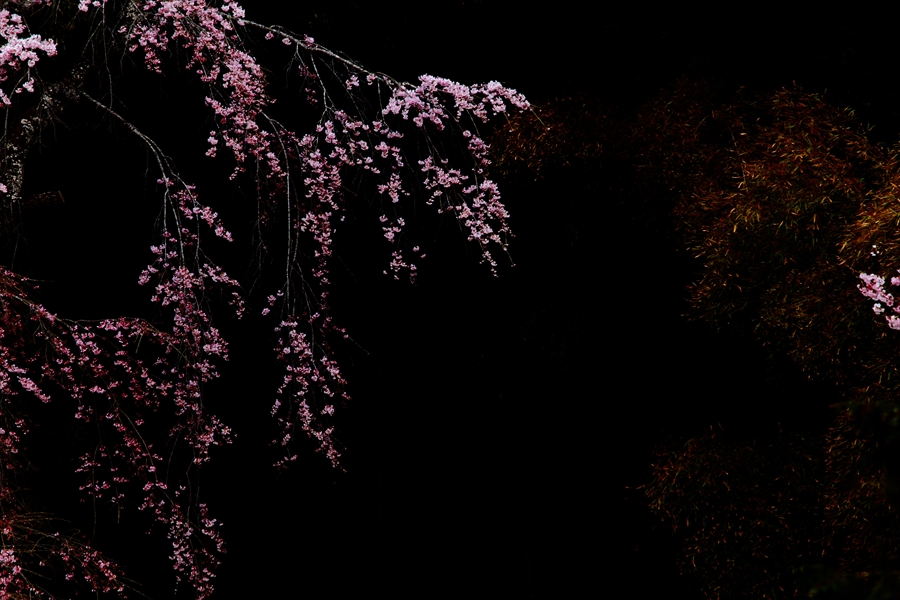 c0146510_19121259.jpg