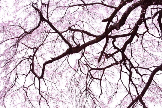 c0146510_19201036.jpg