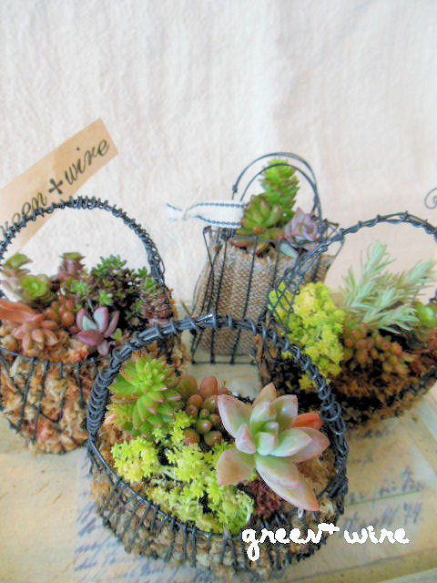 【mu:su:bu】 & 【venez chez moi】_f0208812_16421694.jpg