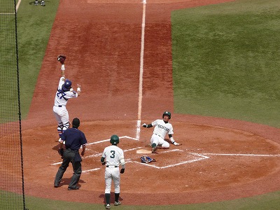 専修大対駒澤大 4月9日 東都大学野球1部_b0166128_846392.jpg