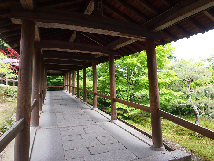 新緑の東福寺 －通天橋－_b0169330_7462870.jpg