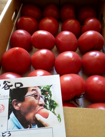 すごいトマトが届きました!_b0204930_18501262.jpg