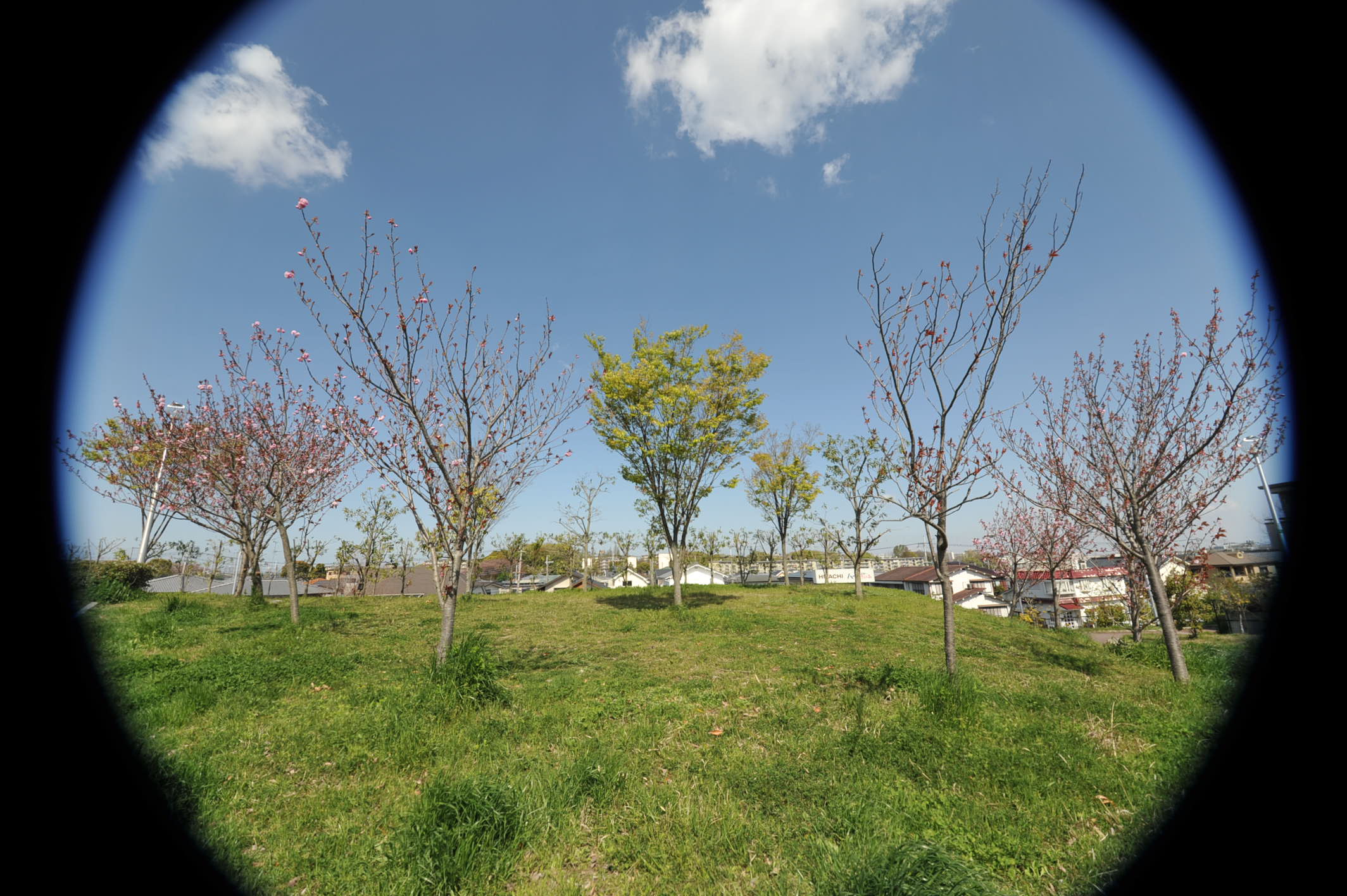 NIKON D700で DX12-24mmレンズを使ってみました_d0138130_1014129.jpg