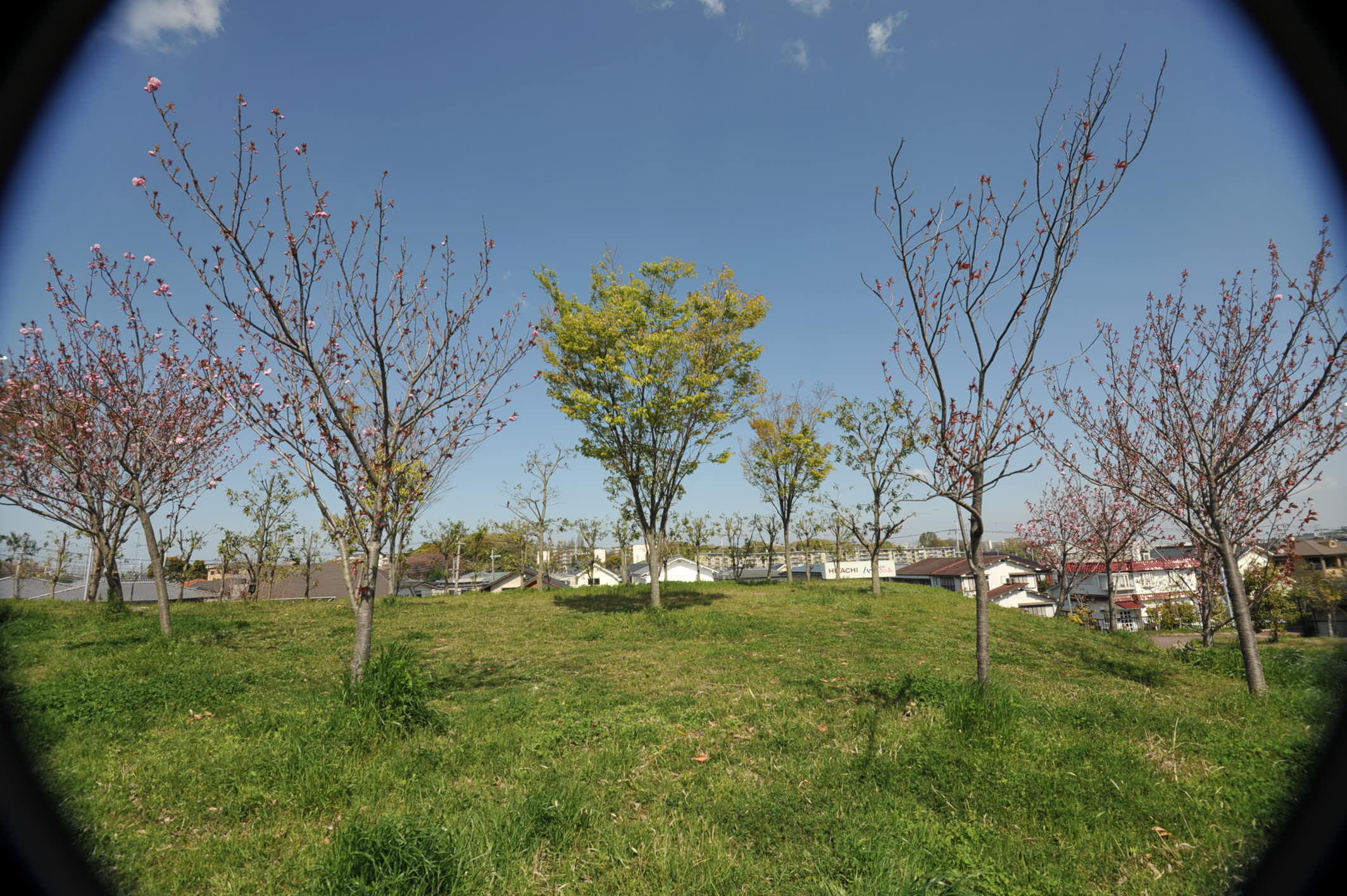 NIKON D700で DX12-24mmレンズを使ってみました_d0138130_10181777.jpg