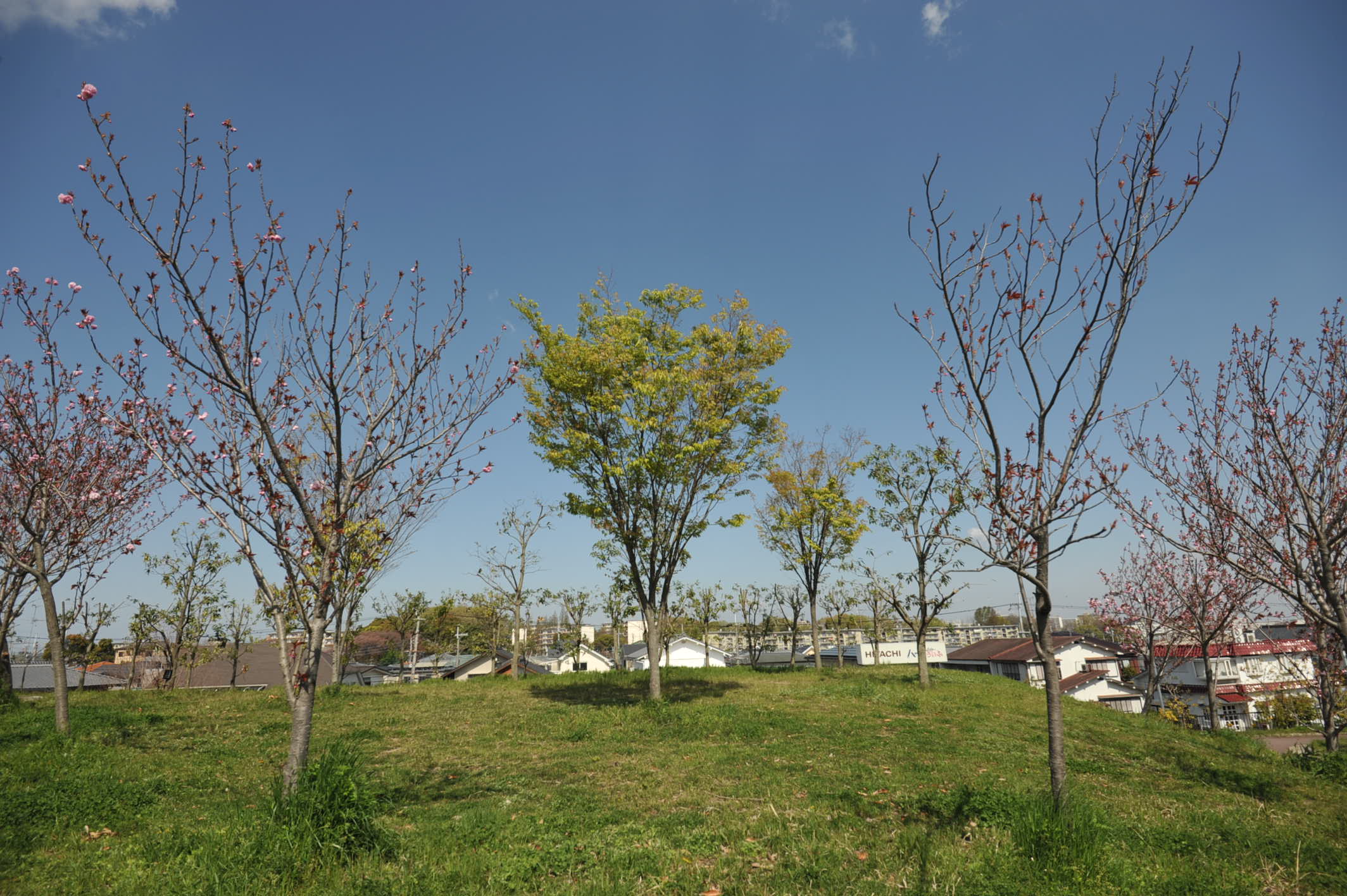 NIKON D700で DX12-24mmレンズを使ってみました_d0138130_10194893.jpg