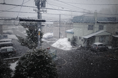 札幌市は積雪ゼロ宣言なんだけど。_c0051132_20144395.jpg