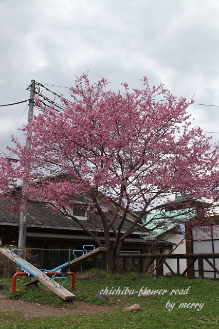 a0207736_0351819.jpg