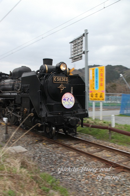 a0207736_0402880.jpg