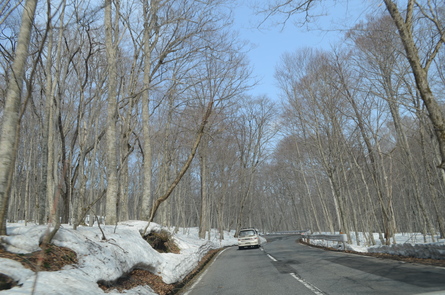 お山の観察会#1 入山編_b0207642_12264485.jpg