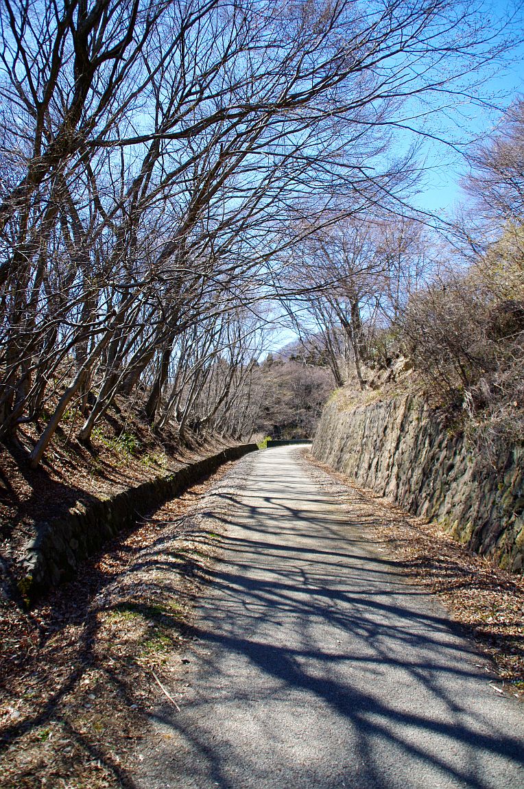 碓氷峠鉄道施設周辺の風景_b0212342_7255568.jpg