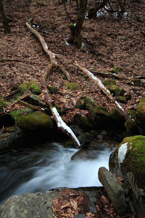 c0035245_0105570.jpg