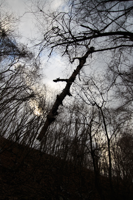 c0035245_01609.jpg