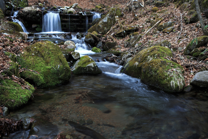 c0035245_034130.jpg