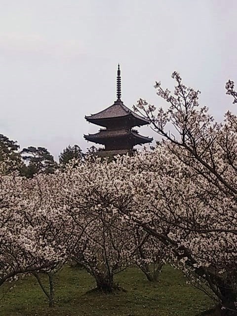 b0145846_20591613.jpg