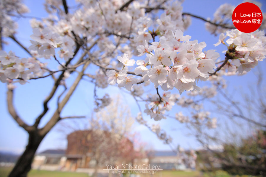 第二回 越中瀬戸焼「かなくれ会陶芸展」と、写真展「やきものの風景」_b0157849_23322177.jpg