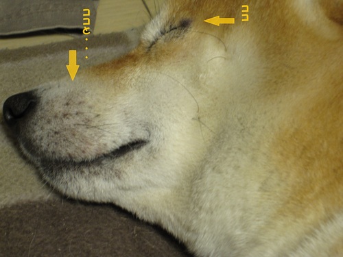 f0245650_8193683.jpg