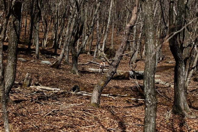 f0268259_22271856.jpg