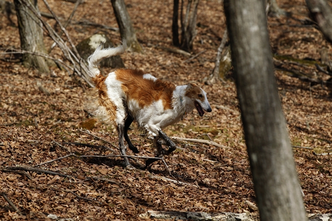 f0268259_22294190.jpg