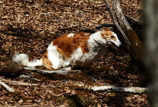 f0268259_22315045.jpg