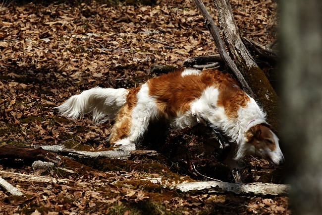 f0268259_2232158.jpg