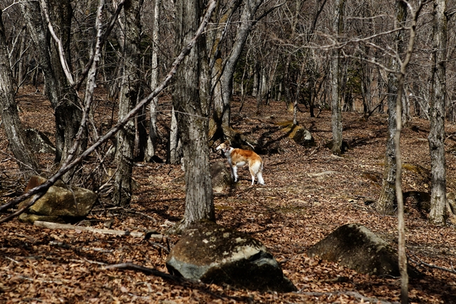 f0268259_22412475.jpg