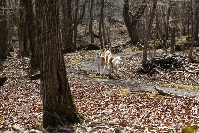 f0268259_22463778.jpg