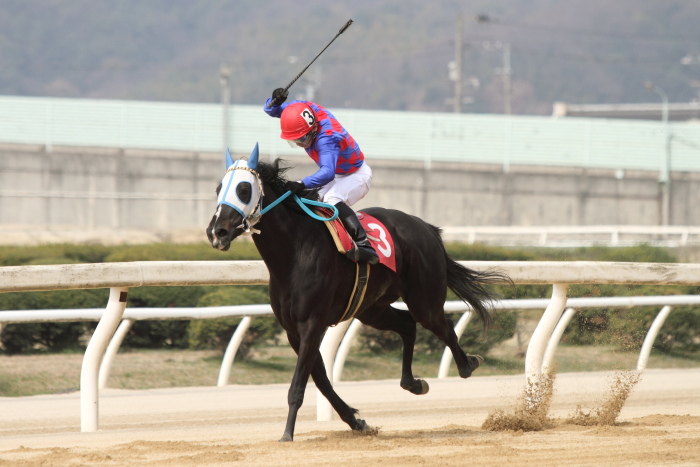 2013年3月24日（日） 福山競馬 1R ありがとう福山けいば従事員親睦会記念 3歳3歳3条件_a0077663_12454837.jpg