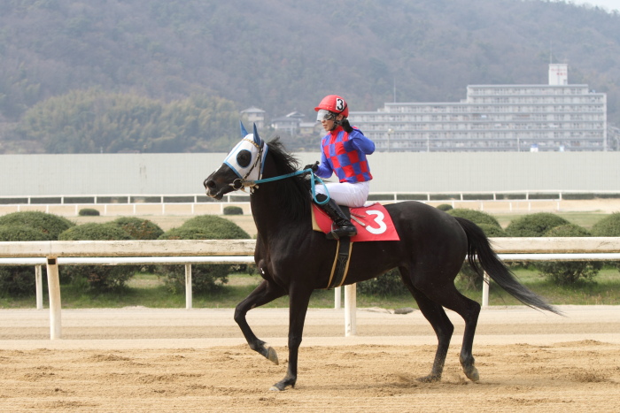 2013年3月24日（日） 福山競馬 1R ありがとう福山けいば従事員親睦会記念 3歳3歳3条件_a0077663_12455791.jpg