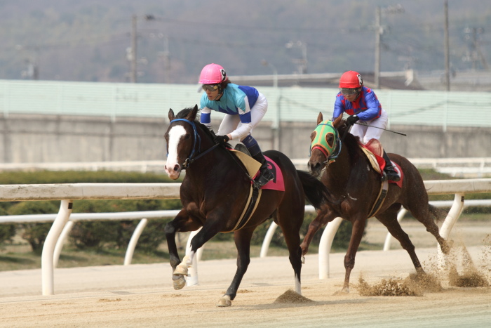 2013年3月24日（日） 福山競馬 3R ありがとう福山けいば実況・アナウンサー記 3歳1条件_a0077663_1321110.jpg