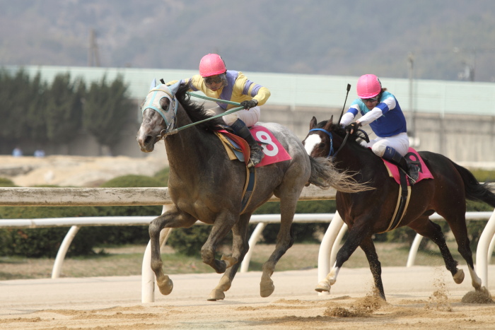 2013年3月24日（日） 福山競馬 3R ありがとう福山けいば実況・アナウンサー記 3歳1条件_a0077663_13211190.jpg