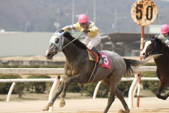 2013年3月24日（日） 福山競馬 3R ありがとう福山けいば実況・アナウンサー記 3歳1条件_a0077663_13211681.jpg