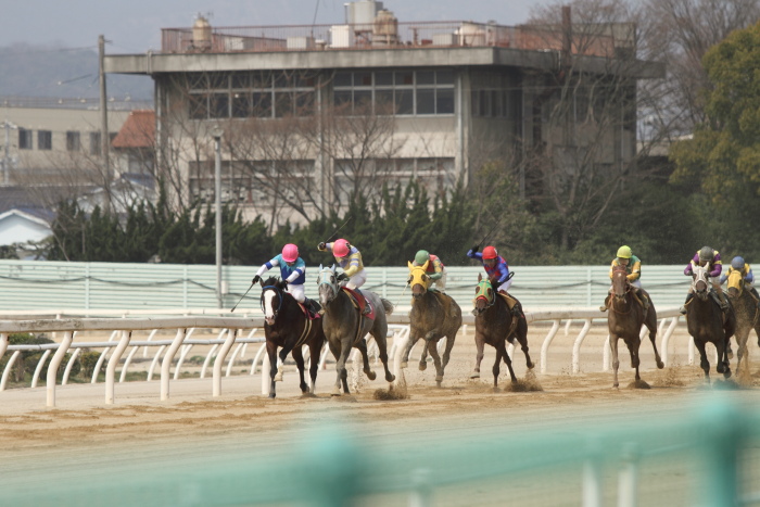 2013年3月24日（日） 福山競馬 3R ありがとう福山けいば実況・アナウンサー記 3歳1条件_a0077663_1321543.jpg
