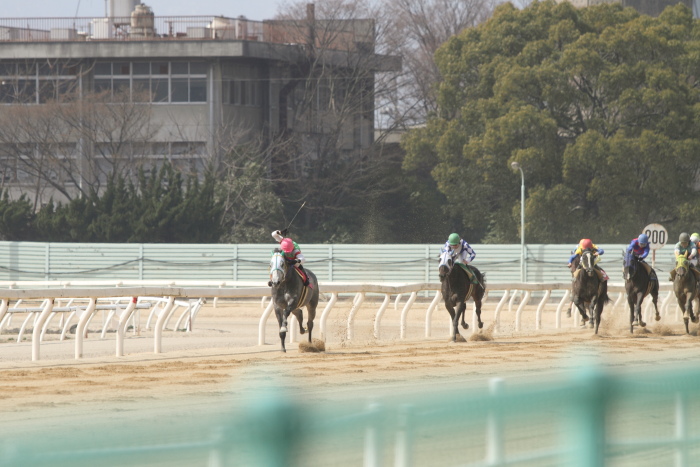 2013年3月24日（日） 福山競馬 7R ありがとう福山けいば誘導馬ペドロ記念 B3B3三_a0077663_14131062.jpg