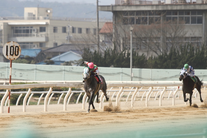 2013年3月24日（日） 福山競馬 7R ありがとう福山けいば誘導馬ペドロ記念 B3B3三_a0077663_14131296.jpg