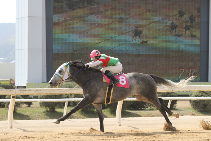 2013年3月24日(日) 福山競馬 7R ありがとう福山けいば誘導馬ペドロ記念 B3B3三_a0077663_14132167.jpg