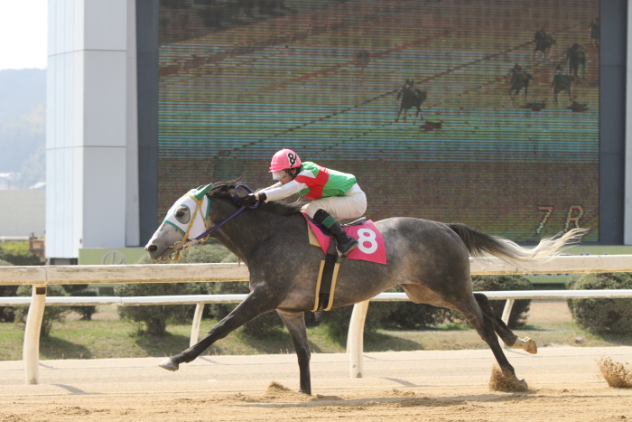 2013年3月24日（日） 福山競馬 7R ありがとう福山けいば誘導馬ペドロ記念 B3B3三_a0077663_14132167.jpg