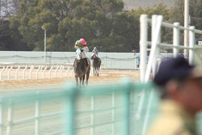 2013年3月24日（日） 福山競馬 7R ありがとう福山けいば誘導馬ペドロ記念 B3B3三_a0077663_14132797.jpg