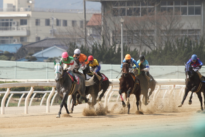 2013年3月24日（日） 福山競馬 7R ありがとう福山けいば誘導馬ペドロ記念 B3B3三_a0077663_1413284.jpg