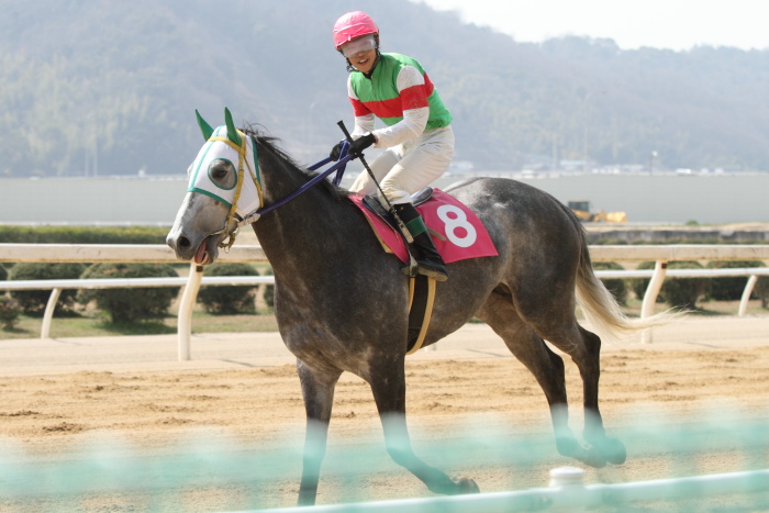 2013年3月24日（日） 福山競馬 7R ありがとう福山けいば誘導馬ペドロ記念 B3B3三_a0077663_14133269.jpg