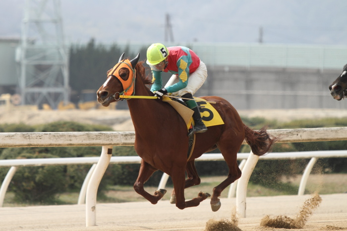 2013年3月24日（日） 福山競馬 8R ありがとう福山けいば開業獣医師会記念 B3B3二_a0077663_1435245.jpg