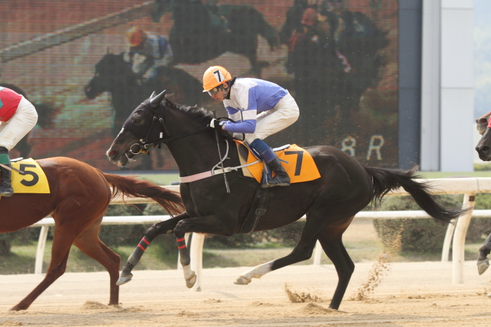 2013年3月24日（日） 福山競馬 8R ありがとう福山けいば開業獣医師会記念 B3B3二_a0077663_14352753.jpg