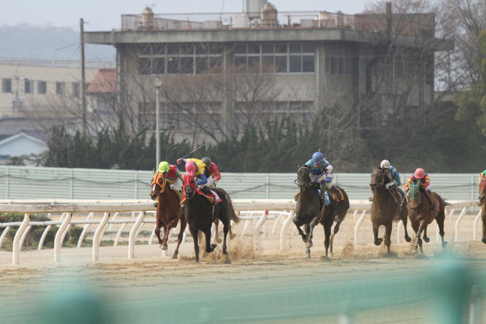 2013年3月24日（日） 福山競馬 8R ありがとう福山けいば開業獣医師会記念 B3B3二_a0077663_14353422.jpg