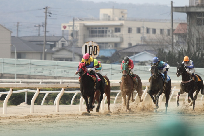 2013年3月24日（日） 福山競馬 8R ありがとう福山けいば開業獣医師会記念 B3B3二_a0077663_14353694.jpg
